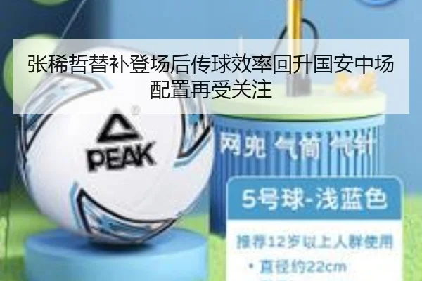 张稀哲替补登场后传球效率回升国安中场配置再受关注